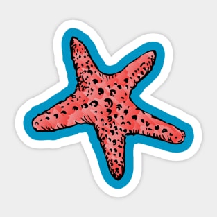 Starfish Sticker